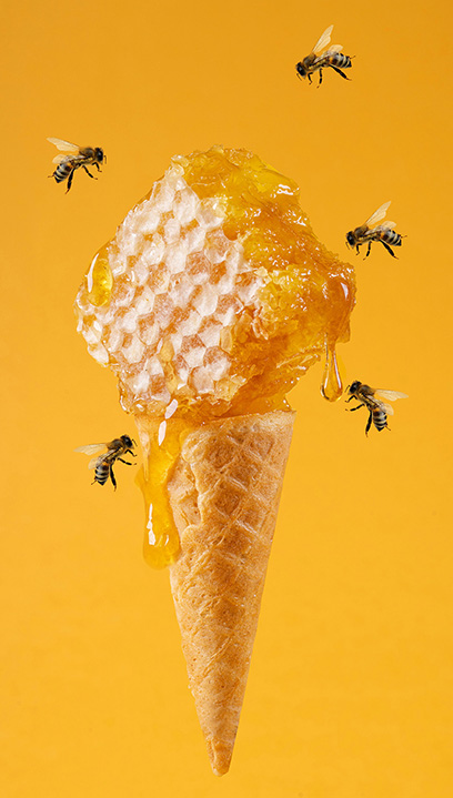 Ice cream Truebees
